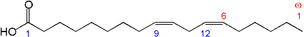 Структурная формула Линолевой кислоты