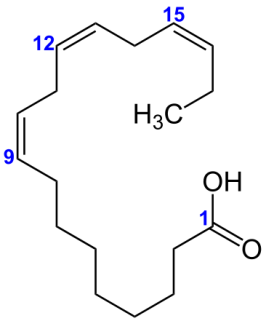Структурная формула Линоленовой кислоты